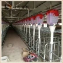 寧津縣碩利養(yǎng)殖溫控設(shè)備廠 專業(yè)供應(yīng)高效養(yǎng)殖機械，助力現(xiàn)代養(yǎng)殖業(yè)升級